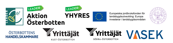 Hallitukset toihin hankkeen logopaketti verkkosivuille ruotsinkielinen 1